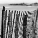 close up black and white of snow fence