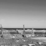 black and white image of ocean and snow fence, clear sky