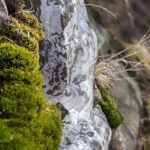 ice encasing a rock with bright green moss on the rock