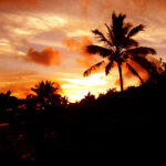 orange sunset art with a palm tree silouetted