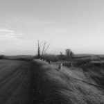 black and white artistic image of a road with beach grass and a clear sky